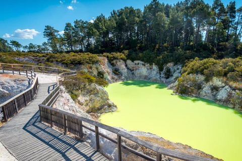 Tauranga: Wai-O-Tapu Thermal Wonderland Cruise Ship Tour
