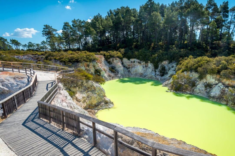 Tauranga: Wai-O-Tapu Thermal Wonderland Cruise Ship Tour