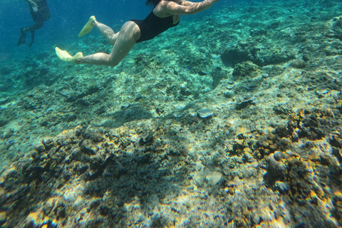 Gili island: 3 island tour with statue and turtle sanctuary sharing tour 9;30