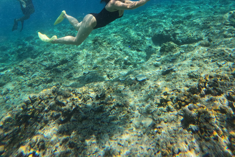 Gili island: 3 island tour with statue and turtle sanctuary sharing tour 9;30