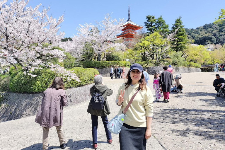 Kyoto: private and customized tour (walking/public transportation)4 hr guided tour