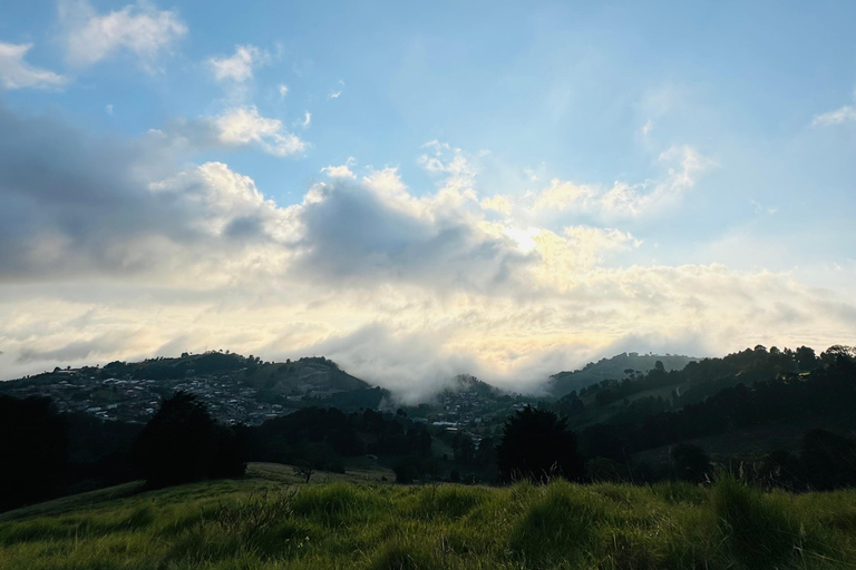 Tour de 1 día a Bajos del Toro, Alajuela, Costa Rica