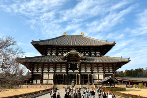 Nara Guided Walking Tour from Kyoto