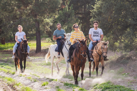 Passeios a cavalo na praia - PDTPasseios a cavalo na praia em grupo