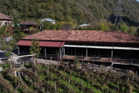 Adjara: Vineyard Tour with Wine Tasting and Lunch