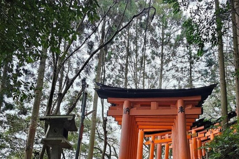 Kyoto : Visite privée d&#039;une jounée en voiture