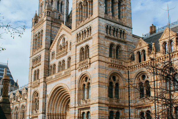 London: Natural History Museum Guided Tour & Priority Entry