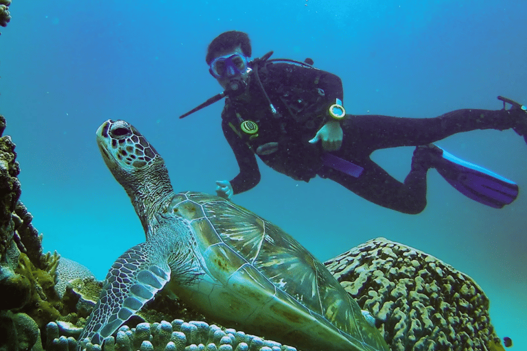 Komodo Inseln: 2D1N Speedboat Tour und Hotelaufenthalt