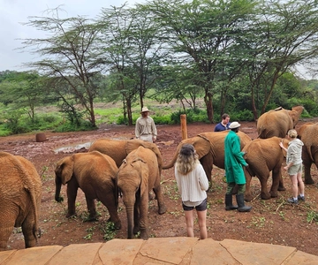 Nairobi: National Park, Elephant Orphanage & Giraffe Center