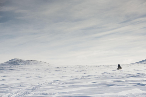 Snöskoteräventyr Abisko (kör själv)