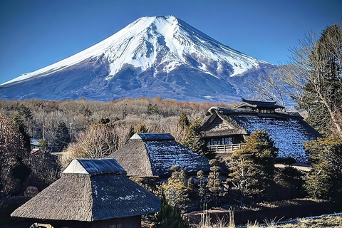 Tokyo: Mountain Fuji Private Full Day Tour with transfer Mount Fuji: Private Tour (Guided tour included) Max 5 pax