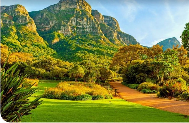 Table Mountain Kirstenbosch World of Birds & Diamond Factory