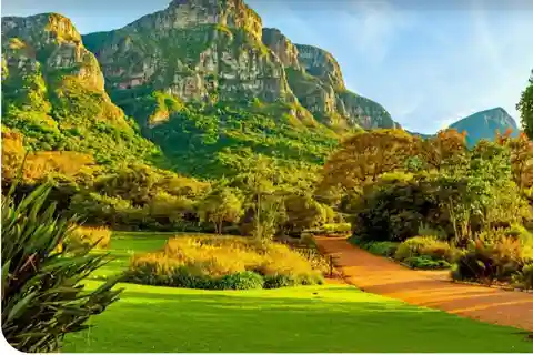 Tafelberg Kirstenbosch World of Birds & Diamond Factory