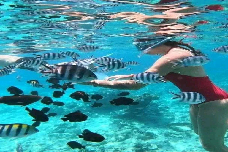 Aventure partagée d&#039;une demi-journée de plongée avec tuba et plage sur l&#039;île de Mnemba