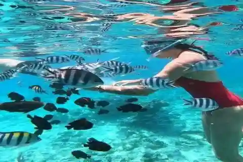 Aventura compartida de medio día de snorkel y playa en la isla de Mnemba