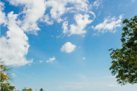 Zanzibar: 18-Hole Golf Experience with Hotel Transfers