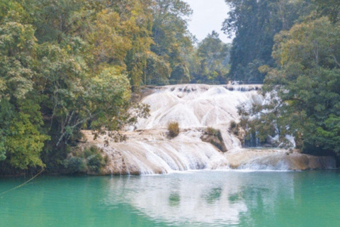 Palenque Archaeological Area and Roberto Barrios WaterfallsChiapas: A Journey Through History and Nature