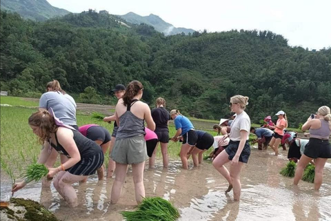 Hà Giang HORIZONTE DE DIVINIDAD Tour con jinete local fácil 3 DíasHa Giang HORIZONTE DE DIVINIDAD Tour con jinetes locales fáciles 3 Días