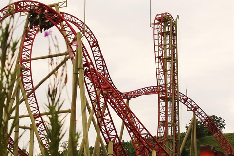 Cali : visite du parc du café avec départ de Cali