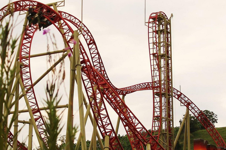 Cali : visite du parc du café avec départ de Cali