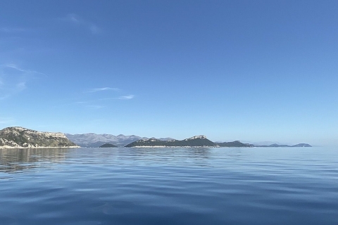 Van Dubrovnik: privé speedbootcruise naar MljetStandaard Optie: