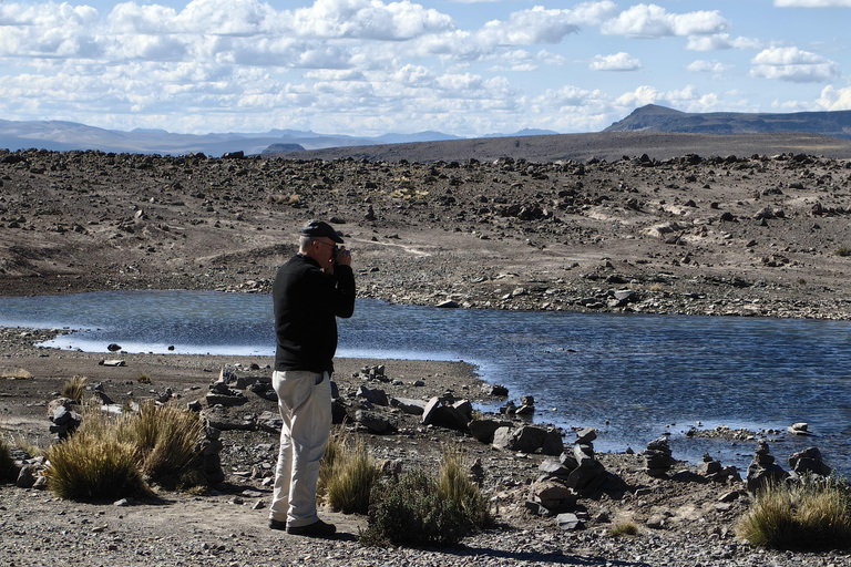 Chivay to Puno on a Premium Tourist Bus | Scenic Route through the Andes Chivay to Puno by Premium Tour Bus | Scenic Route through the Andes
