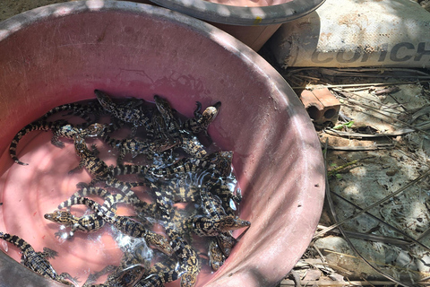 Siem Reap Crocodile Farm Tour With Tuk Tuk Transfer