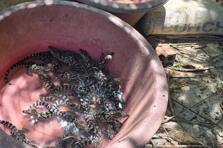 Siem Reap Crocodile Farm Tour With Tuk Tuk Transfer