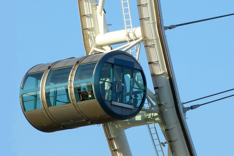 Cingapura: Excursão de um dia para Sentosa, Gardens by the Bay, FlyerItinerário do passeio