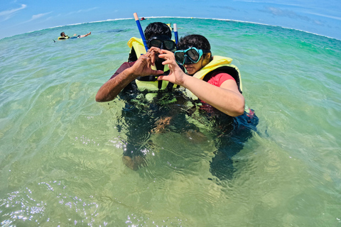 Mirissa, Sri Lanka: Guided Eco Turtle Snorkel & GoPro Videos
