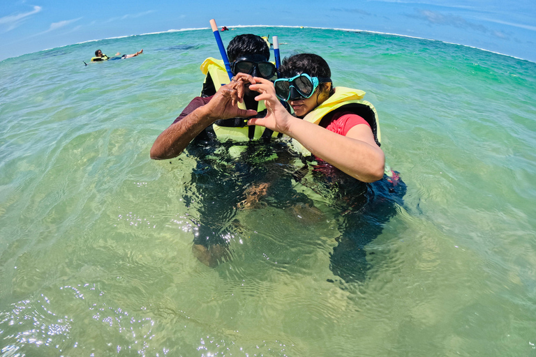 Mirissa, Sri Lanka: Guided Eco Turtle Snorkel & GoPro Videos