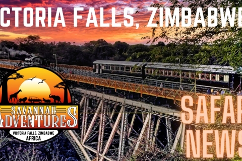 Chutes Victoria : Visite du pont(Copie de) Victoria Falls : Bridge Safari et Look Out Cafe