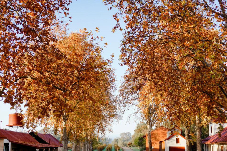Discover Hidden Wineries in Melbourne Boutique Wine Series