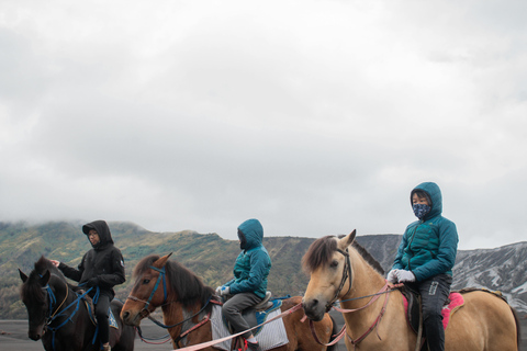 Palmer, Alaska: Summer Horse Ride with Glacier & River Views 1.5 Hours Summer Horse Ride with Glacier & River Views
