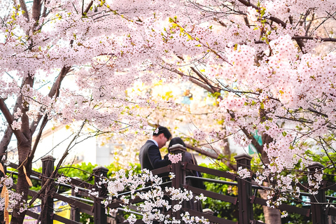 Seoul to DMZ: Waterfall, Hanok Village and Suspension Bridge Basic DMZ Tour (Myeongdong)