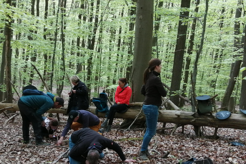 Rotenburg an der Fulda : bain de forêt avec un guide certifiéRotenburg an der Fulda : Bain de forêt avec un guide certifié
