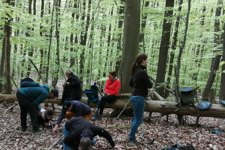 Rotenburg an der Fulda : bain de forêt avec un guide certifiéRotenburg an der Fulda : Bain de forêt avec un guide certifié
