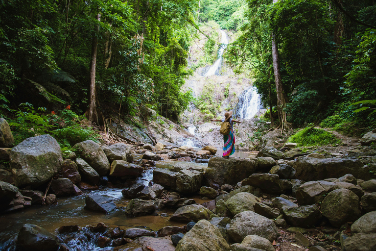 From Galle: Sinharaja Rainforest Trek & Village Lunch From Deniyaya: Private Tuk-Tuk, Rainforest Trek & Lunch