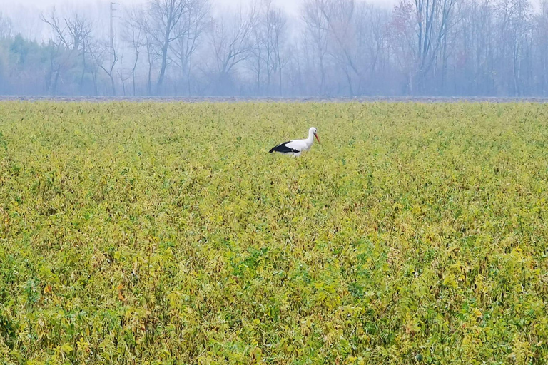 فيينا جولة خاصة سيراً على الأقدام عبر الريف الجبلي