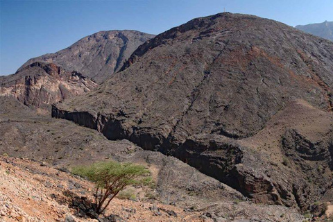 Całodniowa wycieczka do Wadi Bani Awf-Balad Sayt-Nakhal Fort-Hot Spring