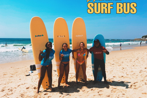 Sydney: 6-tägiger Sommer-Surf- und Campingausflug6-tägige epische Surf-Tour an der Ostküste Australiens von Sydney nach Brisbane