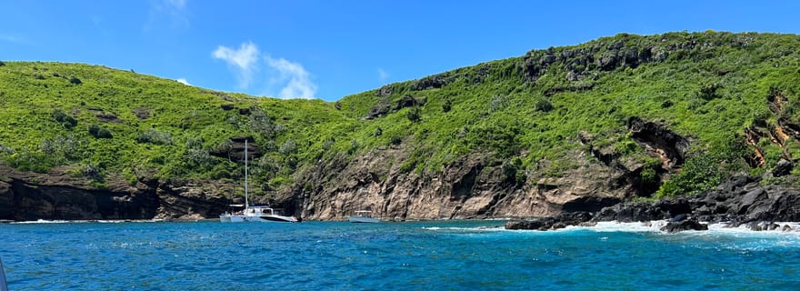 Snorkeling : Coin de Mire en speedboat Nord île Maurice