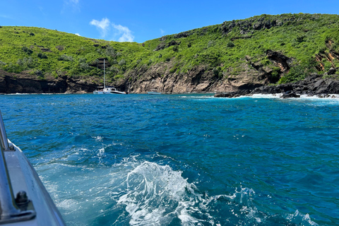Schnorcheln: Coin de Mire im Schnellboot auf der Nordinsel MauriceSchnorcheln mit dem Speedboot