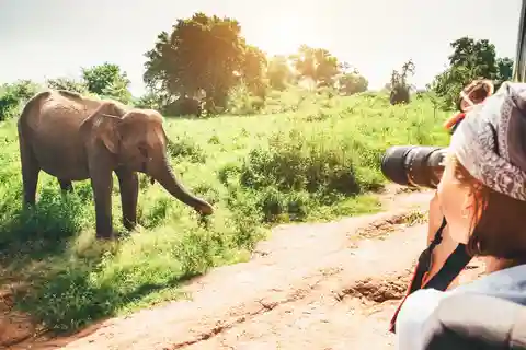 La région des collines du Sri Lanka bénit Kandy, Nuwara eliya et Ella