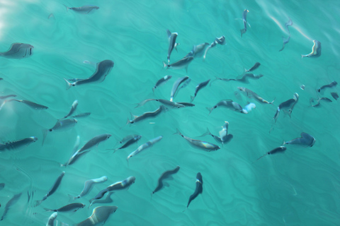 Cagliari: Boat Excursion along the Coast with a Swim and Aperitif Cagliari: Fast Boat Excursion along the Coast with Swimming and Aperitif