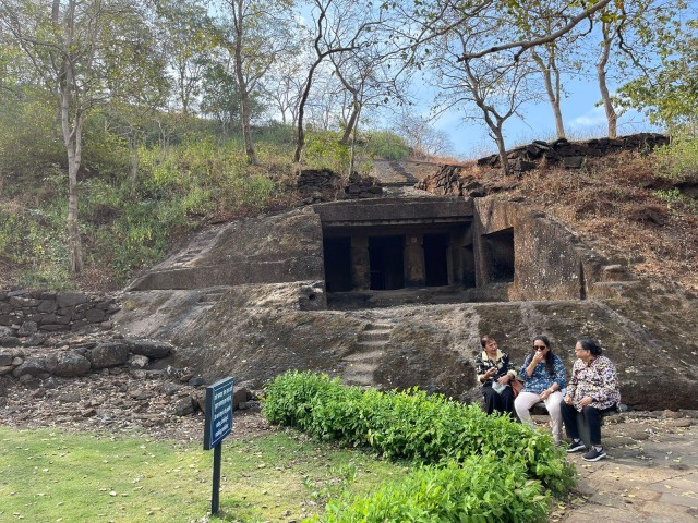 Visit Sanjay Gandhi National Park + Kenheri Caves + Lion Safari in Navi Mumbai