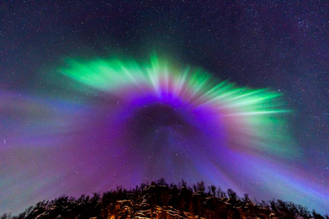 Tromsø: tour guidato a caccia del miglior scatto dell&#039;aurora borealeDa Tromsø: Inseguimento fotografico guidato dell&#039;aurora boreale