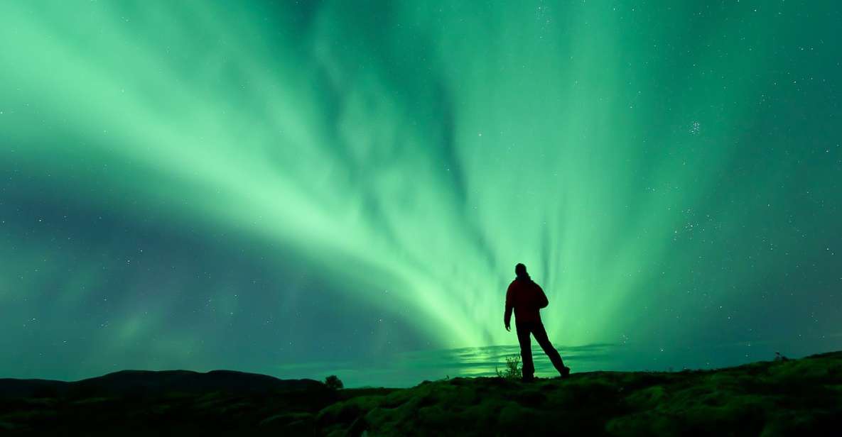 Aurora Borealis: Northern Lights Tour from Reykjavik