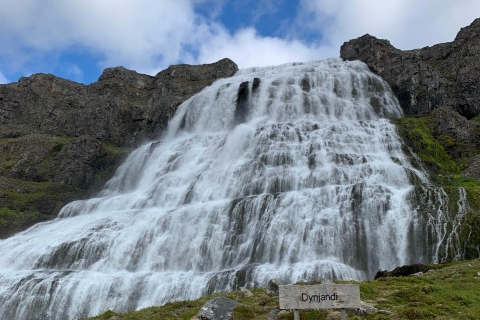 Isafjordur: Dynjandi-watervaltour en bezoek aan IJslandse boerderijIsafjordur: Dynjandi-watervaltour en bezoek aan een IJslandse boerderij