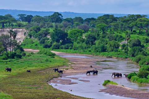 4-dagars privat midrange-safari med flyg från Zanzibar